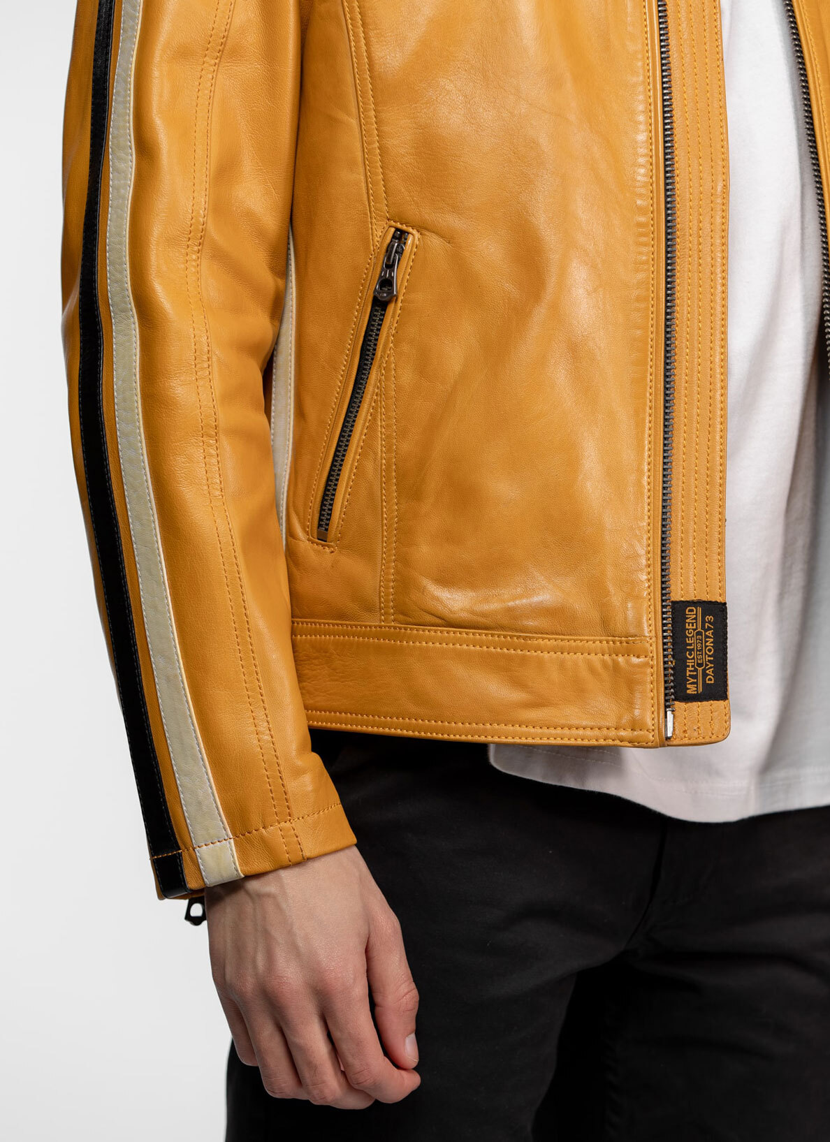 104152-scotty-jaune-(2)