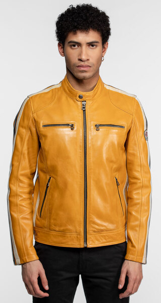 104152-scotty-jaune-(5)