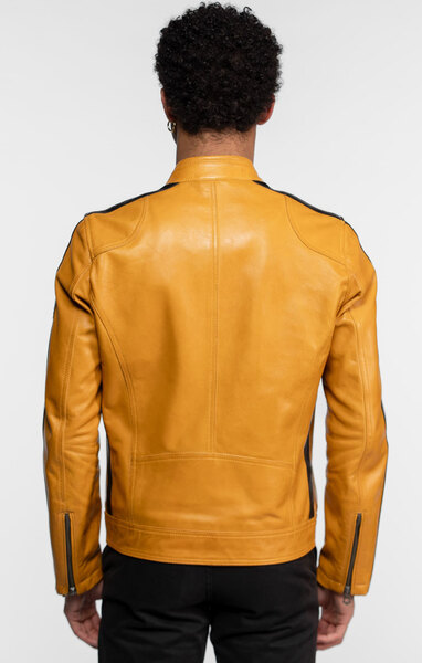 104152-scotty-jaune-(6)