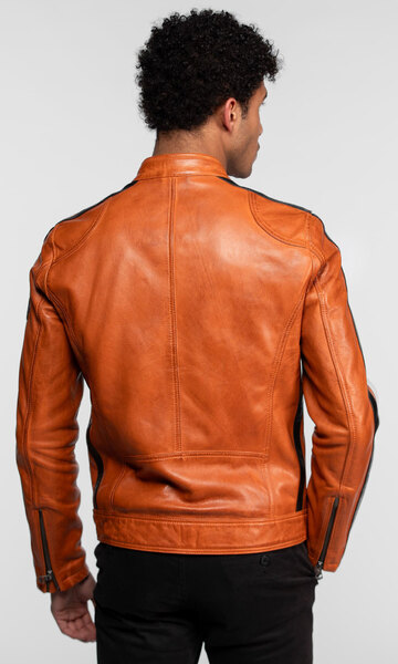 104152-scotty-orange-(7)